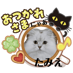 [LINEスタンプ] たみえ専用スタンプ