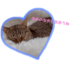 [LINEスタンプ] ぴっきーぴっきーの日常