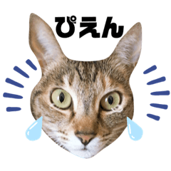 [LINEスタンプ] 黒子の毎日2