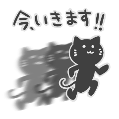 [LINEスタンプ] 使い勝手のよい黒猫