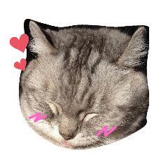 [LINEスタンプ] TAうちの子