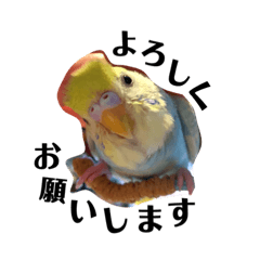[LINEスタンプ] mimiro