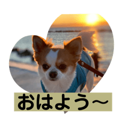 [LINEスタンプ] king ＆ Kong