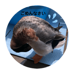 [LINEスタンプ] あいがものビビ
