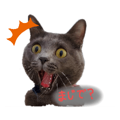 [LINEスタンプ] おてんば！ひなちゃん