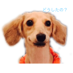 [LINEスタンプ] サンドスタンプ