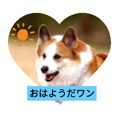 [LINEスタンプ] 嬉しいコーギー