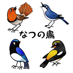 [LINEスタンプ] トリStamp●なつの鳥