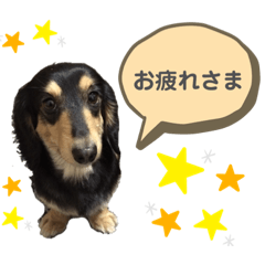 [LINEスタンプ] こやちゃんちのノアくん