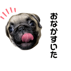 [LINEスタンプ] めろんりんご3