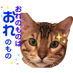 [LINEスタンプ] ベンガル猫のフェリスくん 日常ネタ