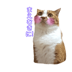 [LINEスタンプ] うめとくりのユ ニ ー ク  ス タ ン プ  2