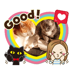 [LINEスタンプ] MYAA1