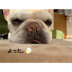 [LINEスタンプ] オイラからの気持ちだぜ。