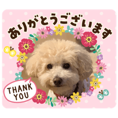 [LINEスタンプ] ティアちゃん＆リオくん