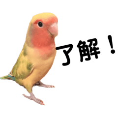 [LINEスタンプ] チェリー1