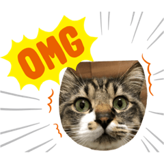 [LINEスタンプ] マーちろ(=^x^=)