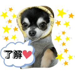 [LINEスタンプ] こまあざらし