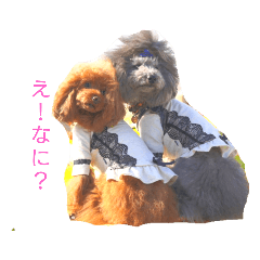[LINEスタンプ] toypodollesister