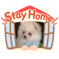 [LINEスタンプ] むちゃくんスタンプ