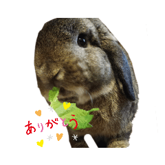 [LINEスタンプ] チェス(๑´×`๑)
