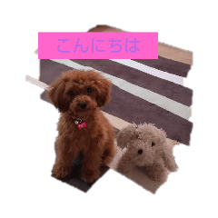 [LINEスタンプ] ららミミ子2