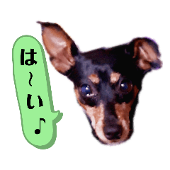 [LINEスタンプ] 短めお返事