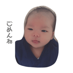 [LINEスタンプ] raito24