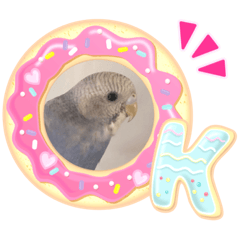 [LINEスタンプ] セキセイインコ、プチの日常生活