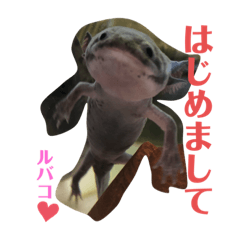 [LINEスタンプ] ルバコ
