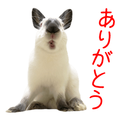 [LINEスタンプ] USG5すたんぷ