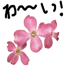 [LINEスタンプ] お花スタンプ2020