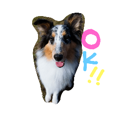 [LINEスタンプ] はまちゃん1