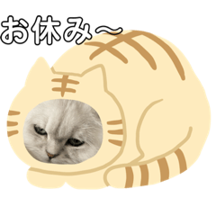 [LINEスタンプ] 可愛い桃ちゃんスタンプ❤️
