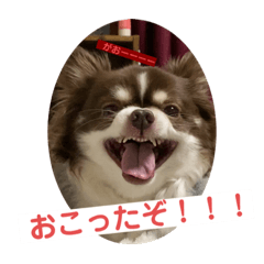 [LINEスタンプ] 拳志朗らいふ 1