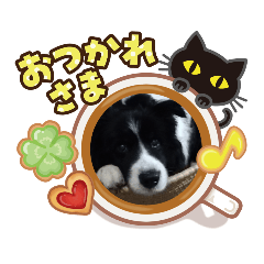 [LINEスタンプ] あすりーとくん