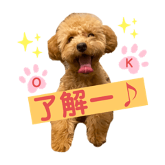 [LINEスタンプ] くっく❤️