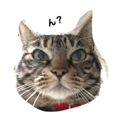 [LINEスタンプ] 楽しいかぞく