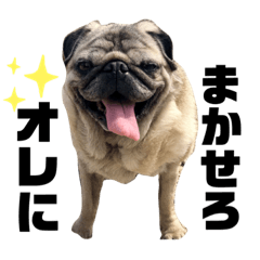 [LINEスタンプ] かわいい犬猫のつぶやき
