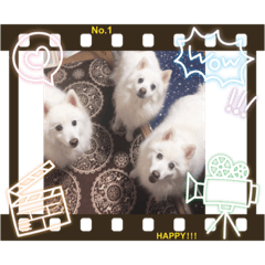 [LINEスタンプ] スピッツファミリー②