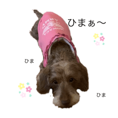 [LINEスタンプ] ワイヤーダックス もにゃ2