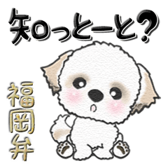 [LINEスタンプ] シーズー犬の福岡弁 41