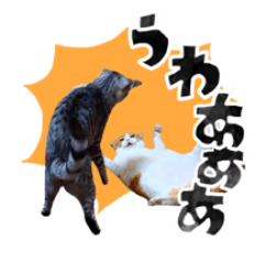 [LINEスタンプ] なんなんスタンプ01