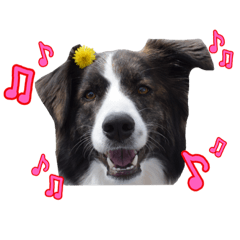 [LINEスタンプ] JACKMAN STAMP 2
