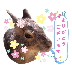 [LINEスタンプ] ありがとうマーラ