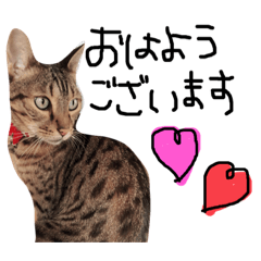 [LINEスタンプ] Qoo♡eru♡LaLa♡Chiro