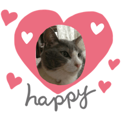 [LINEスタンプ] 我が家のねこたち(*^ω^*)