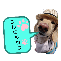 [LINEスタンプ] もずくのスタンプ3