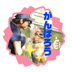 [LINEスタンプ] ピースワンコ 保護犬スタンプ でか文字ver.