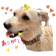[LINEスタンプ] エル1109